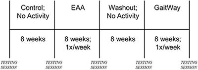 Changes in Motor Skill Proficiency After Equine-Assisted Activities and Brain-Building Tasks in Youth With Neurodevelopmental Disorders